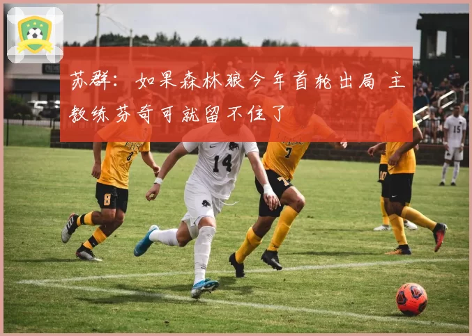 苏群：如果森林狼今年首轮出局 主教练芬奇可就留不住了