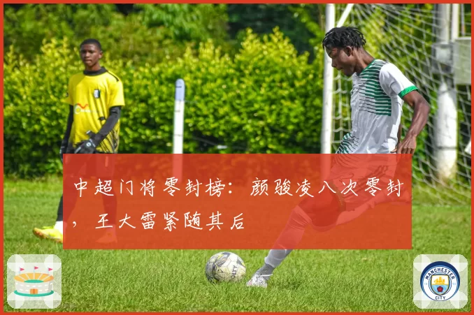 中超门将零封榜：颜骏凌八次零封，王大雷紧随其后